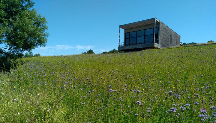 Refuge LPO : retour sur 16 ans de suivi sur les sites du Groupe Yves Rocher en Bretagne.